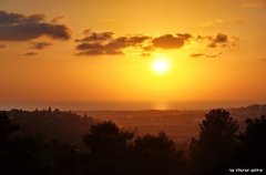 אחוזת יערה 48