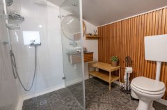 החולה האוס 88