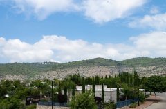 אחוזת לב הארי 47