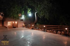 אחוזת טוקאי 54