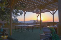 אחוזת טוקאי 11