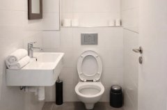 היערה הלבנה 14