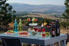 וילה אחוזת הנשיא 5