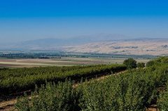 וילה אחוזת הנשיא 7