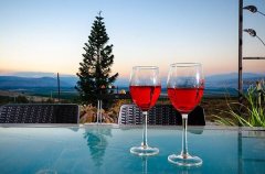 וילה אחוזת הנשיא 29