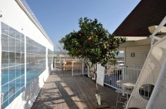 וילה לוז כנרת 115