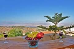 וילה אחוזת יוסף 25