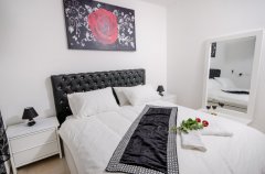 חלומות הדר 12