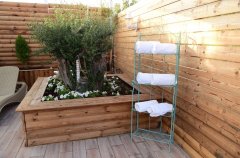 אחוזת סול בנוף 37