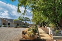 אחוזת אדל 53