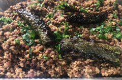 אחוזת דון ליאון 0