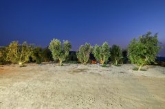 אחוזת דון ליאון 18