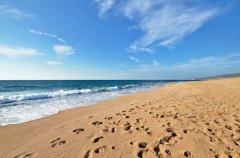 אחוזת דון ליאון 59