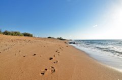 אחוזת דון ליאון 60