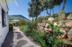 הבית במושבה מגדל 50