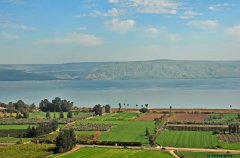 וילה מגדל 52