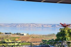 וילה מגדל 61