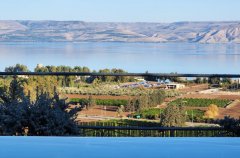 וילה מגדל 12