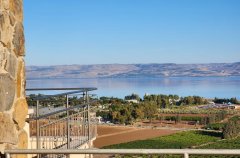 וילה מגדל 64