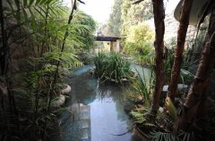 וילה גלינה 12