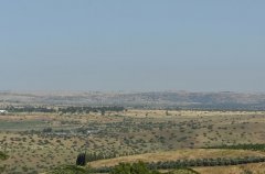 וילה מאיורי בוטיק 41