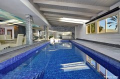 אחוזת בצל התמר 4