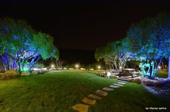 וילה אלסוס בוטיק 85