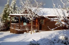 אצלנו בחצר 37