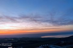 אחוזת רוורי 31