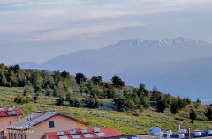 אחוזת רוורי 14