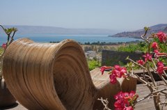 וילה אסנסיה 69