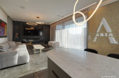 וילה אריאה גולד 45