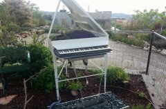 וילה לה קאסה 19