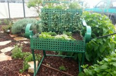 וילה לה קאסה 18